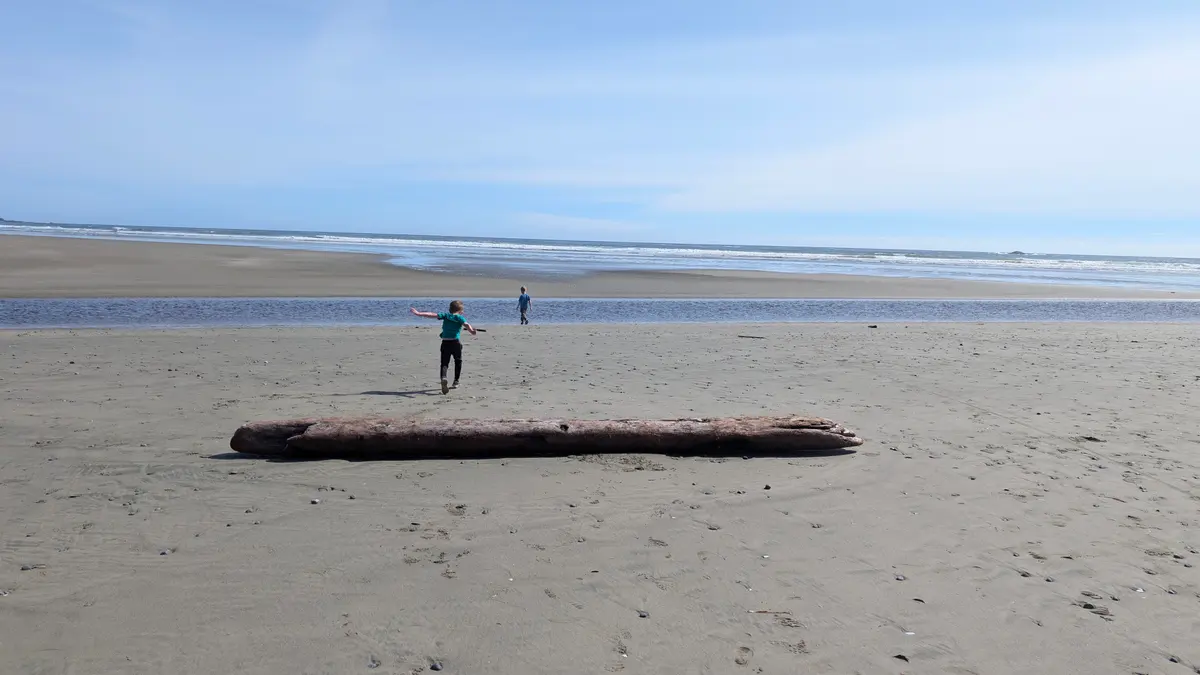 A long sandy beach at low tide with a driftwood log and two small figures far off