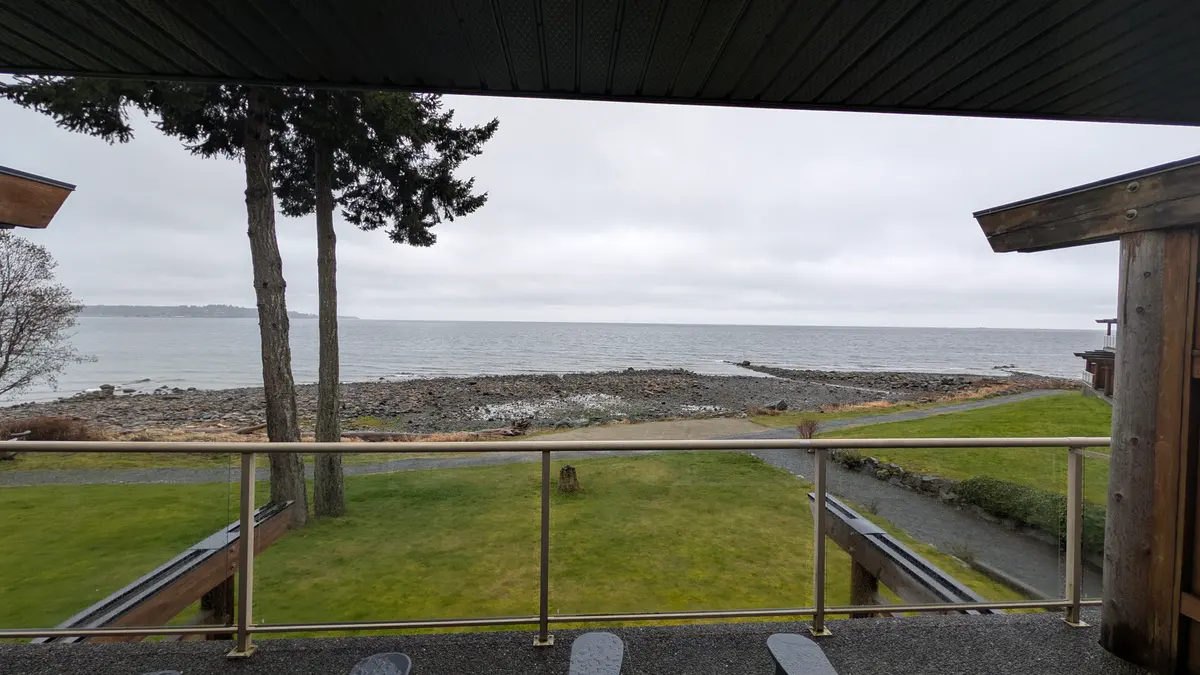 A grey morning view over a lawn and railing to the water, framed by tall firs