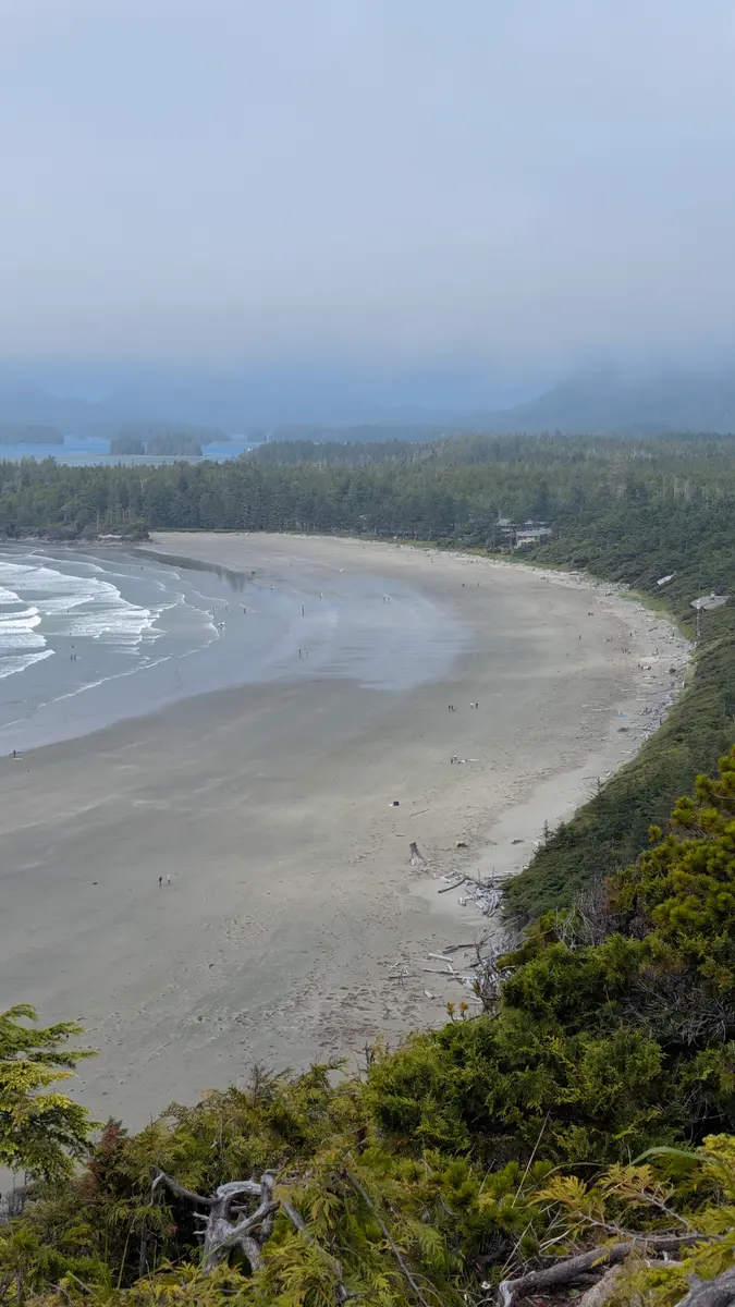 A tall view down the curve of Cox Bay beach from the forested lookout