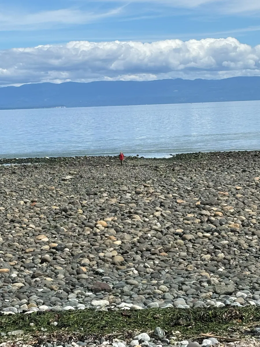 A cobble beach at Kitty Coleman at low tide, with the Coast Mountains across the Strait of Georgia