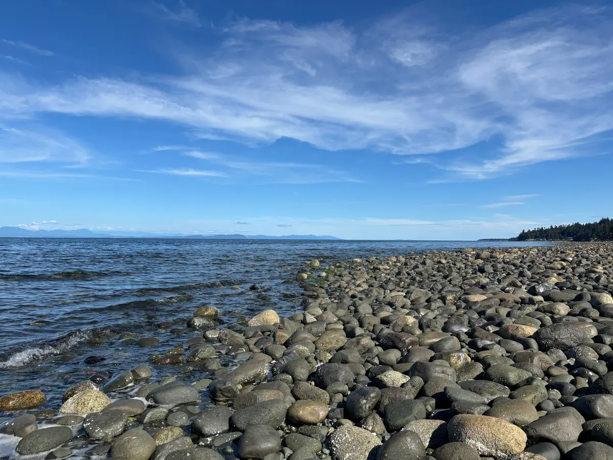 A curving cobble shoreline running into calm water at Kitty Coleman