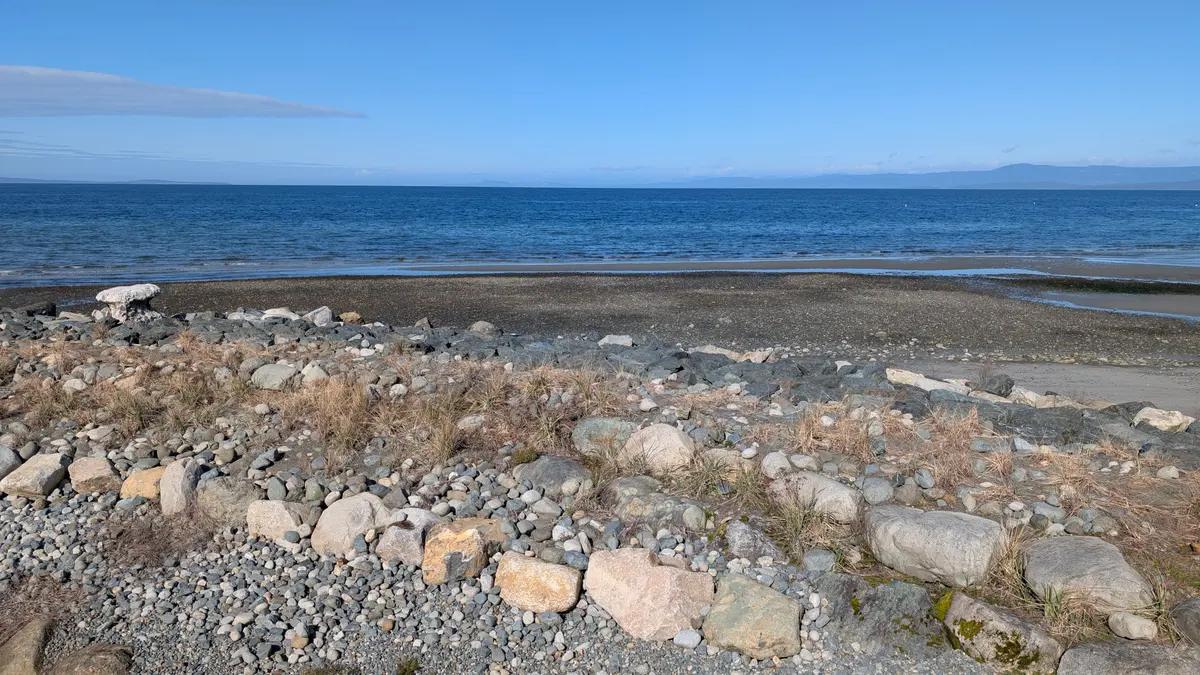 Dry grass and beach stones running down to calm water at Qualicum Beach