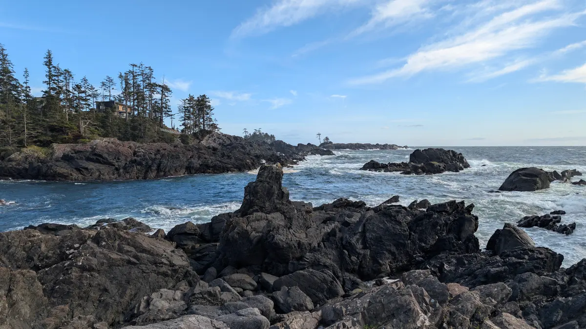 A rocky point with wind-shaped trees and open Pacific swell near Ucluelet