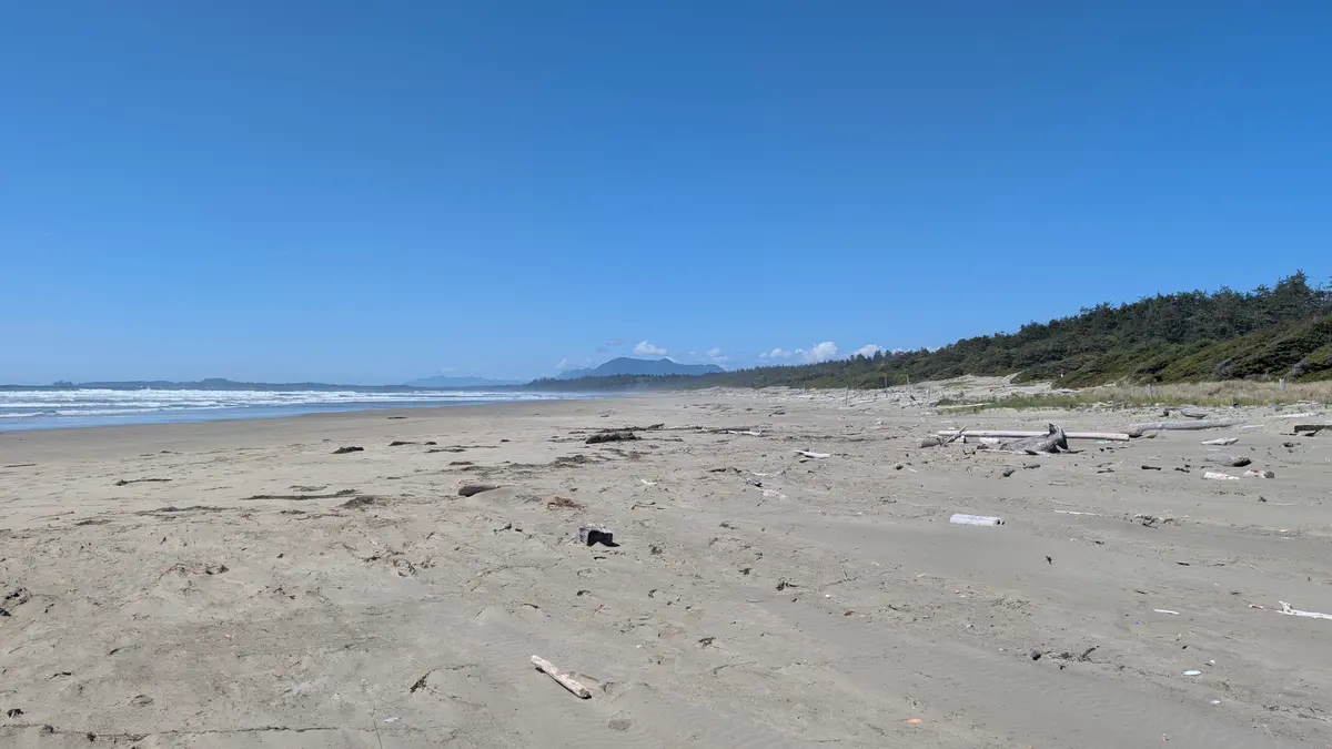 Driftwood-scattered sand and forested headland along Wickaninnish Beach